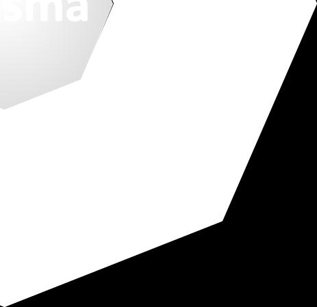 Siisteys Panostan siihen, että annan itsestäni miellyttävän vaikutelman (näkö, tunto ja