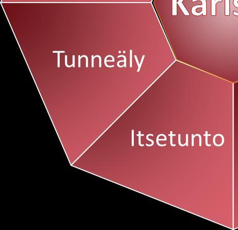 Minulla on kyky tunnistaa tunteet, niiden merkitys ja käyttää niitä hyödyksi 20.