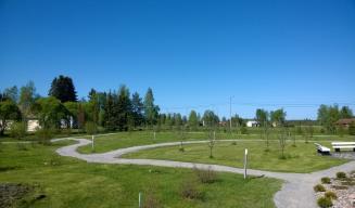 -28.5.2016 talkoiltiin kivituhka Arboretumin käytäville.