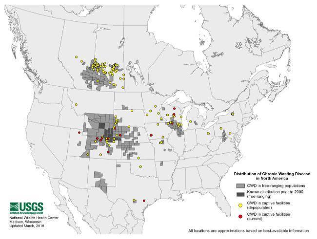 CWD Pohjois-Amerikassa Coloradon yliopiston hirvieläintarhassa havaittiin kuihduttavaa ja kuolemaan johtavaa tautia