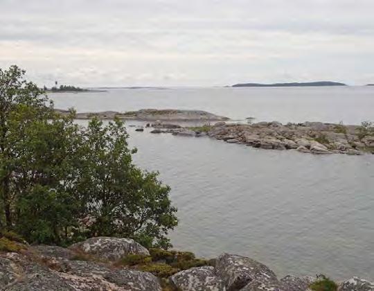 4. LINNUSTO JA MUU LAJISTO Saari on lähtökohtaisesti kokonaan metsäinen, eikä siten erityisesti saaristolinnuston suosima. Rantojen tuntumassa on muutamia pienempiä luotoja (esim.