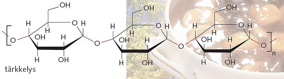 Polysakkarideja, tärkkelys ja selluloosa Polysakkaridit jaetaan niiden tehtävien