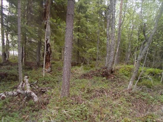 Kallioperän ruhjeisuus ilmenee hyvin aina Hietalahdelta Tervalahdelle ulottuvalla alueella. Pohjoisessa Hakojoen suulla on maisemakuva tasaisempi.