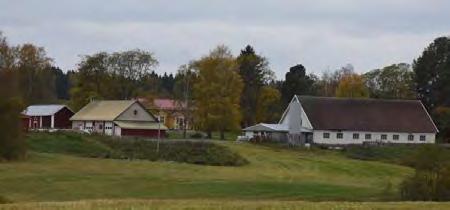 Siilinjärvi; Koivusaari ja Väänälänranta, rakennuskulttuurin tarkastelu