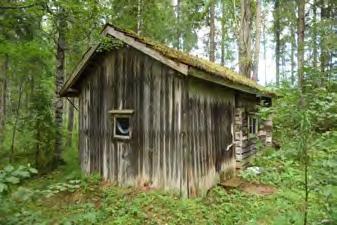hirsipintainen, mutta rantapäädyssä olevan katoksen yläosa ja pieni (eteis)tila on pystyrima-lautaverhottu.