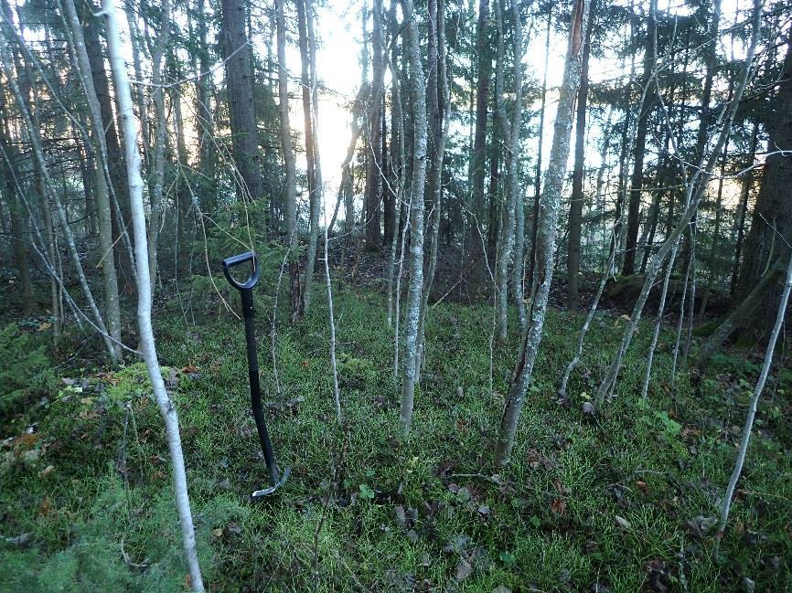 Tulos: Alueella, Miesmäen länsiosassa on 1. ms aikaisen varustuksen jäänteet joka on muinaisjäännös.