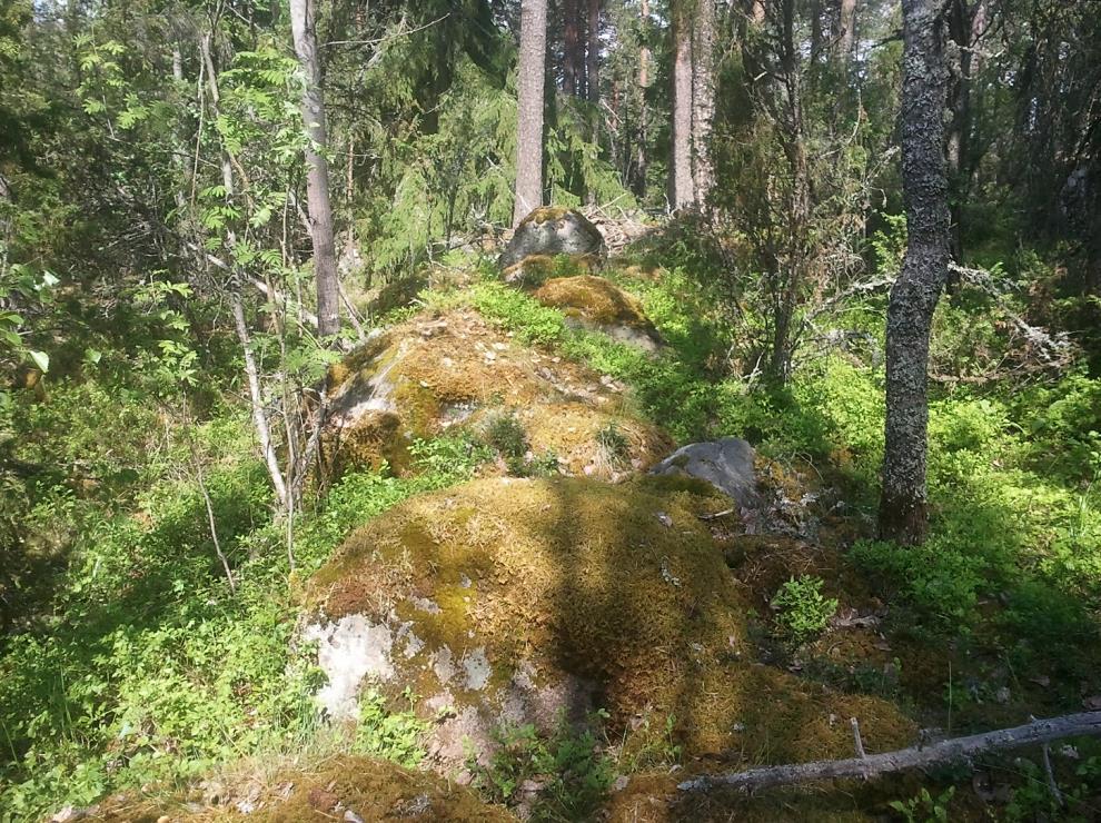 kuvattu pohjoiskoilliseen, kuva Jasse