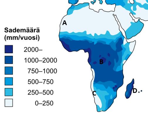 Väitteet tehtävissä 10 ja 11 liittyvät Afrikan sademäärää kuvaavaan karttaan. 10. a) Kohdan A lämpötiloja kohottaa Kanarianvirta.