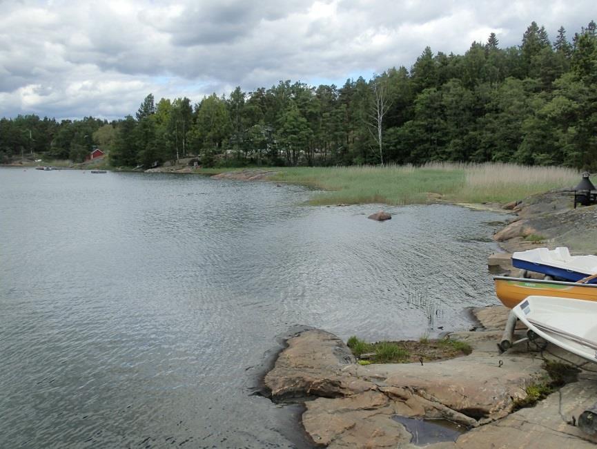 6 Tarkastin alueen kattavasti. Alueen keskiosassa oli laaja hakkuuaukko jossa oli myös avointa maata havainnoitavaksi.