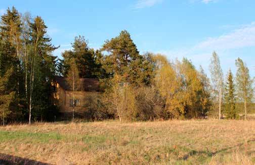 METSÄKANSAN KYLÄYHDISTYS TOIMII METSÄKANSAN kyläyhdistys järjestää tänäkin vuonna kaikenlaista mukavaa. Päätapahtuma, RoadTrip on elokuun 5. päivä lauantaina kello 13-16 Tapiolassa.