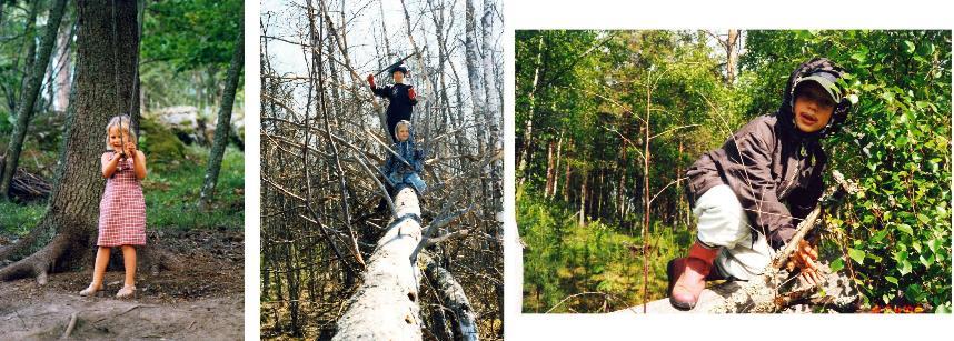 näkökulmia, kyseenalaistaa Kypsä leikki