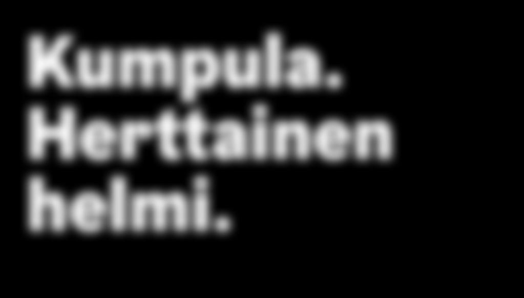 Kertamaksut: aikuiset 4 lapset 2 muut