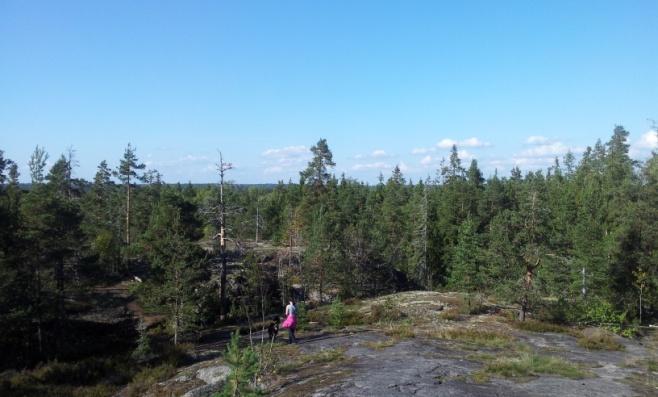 Kalkkiruukin luontopolun alueella on aikaisemmin harjoitettu kalkinpolttoa ja louhintaa ja alueella voi nähdä vielä jäänteitä kalkkiuunista. Luontopolulla on laavu ja tulentekopaikka. Kuvio 7.