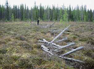 lääninvankilaan hirtettäväksi tsaarin vallan vastaisten toimiensa ja pakolaistoimintansa vuoksi.