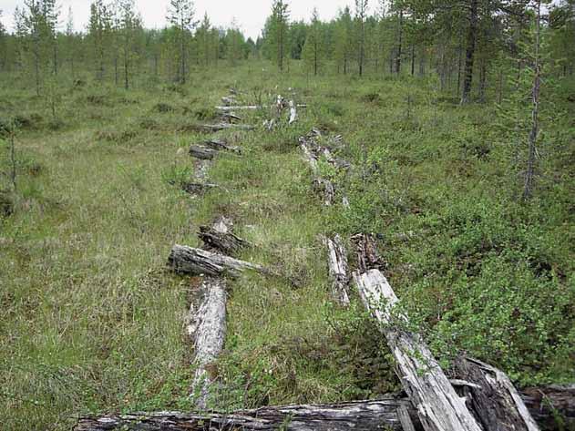 Kuva 192. Nuortin konesavottaan kuulunut Samperin veturitie johti Tulppiosta Lattunaan.