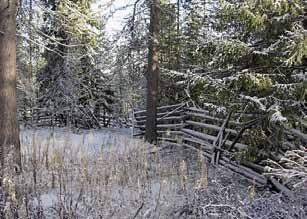 Uhat Suojelukysymyksiin liittyy edelleen paljon tietämättömyyttä ja väärää tietoa, mikä aiheuttaa suojelukielteisiä asenteita.