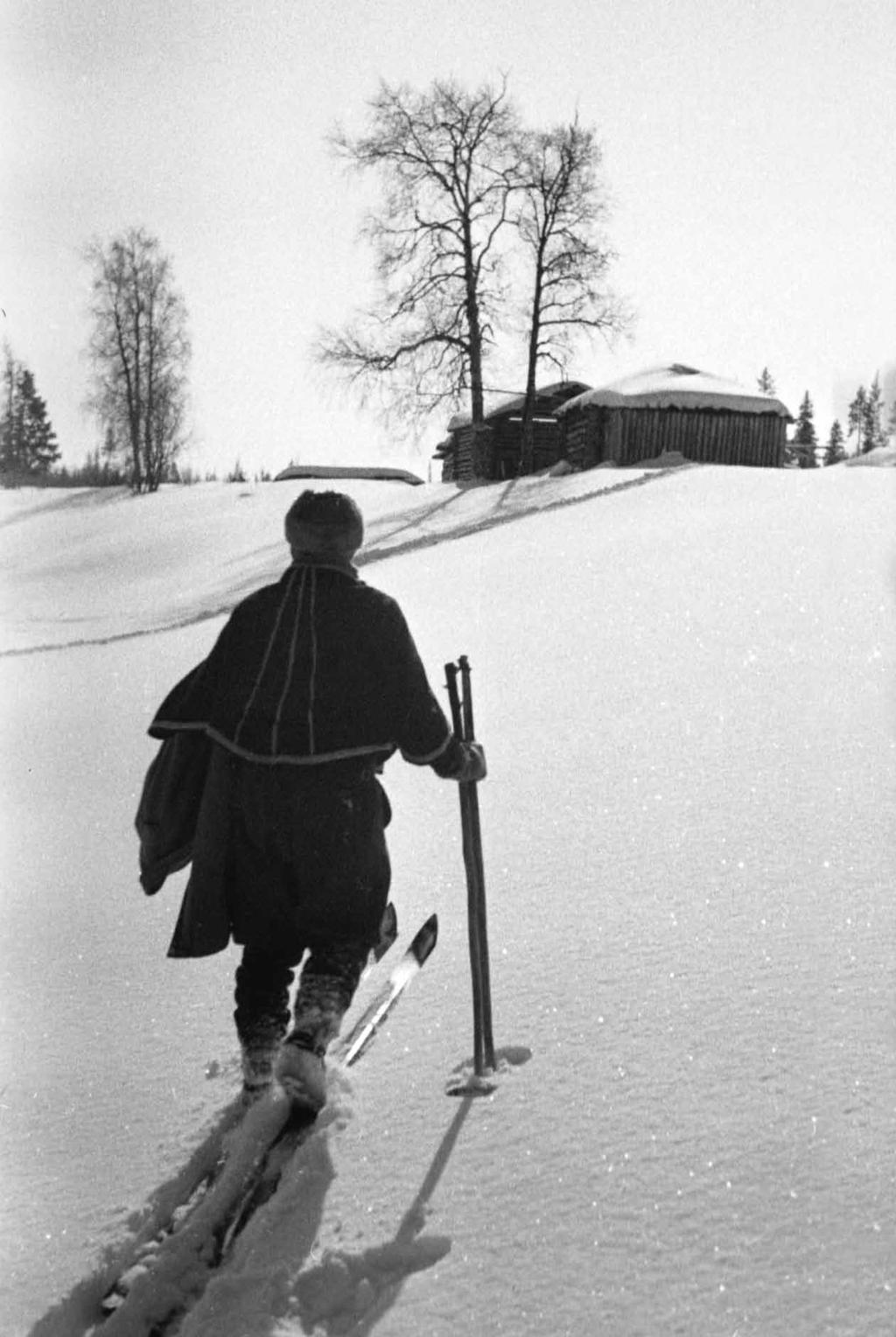 Kuva 199. Savukosken luonnonrauhaa 1950-luvulta.