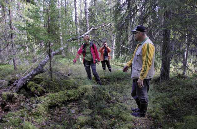 Maastosta muinaisjäännösrekisteriin tietoa arkeologisesta kulttuuriperinnöstä Arkeologit keräävät muinaisjäännöksiä koskevaa tietoa monin eri tavoin.