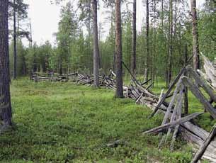 Kuva 34. Perkka-aitaa Kyörtesselän erotusaidalla. LKYT 2005.