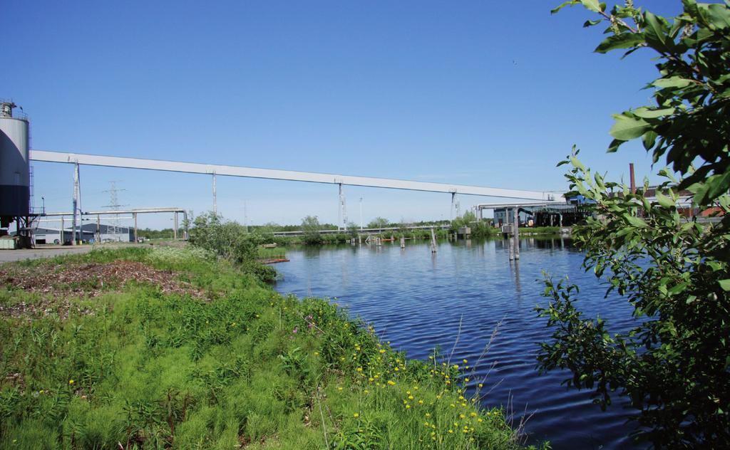 Suomen Luontotieto Oy Lohko 4 Alueella on teollisuusrakennuksia sekä vesiallas.