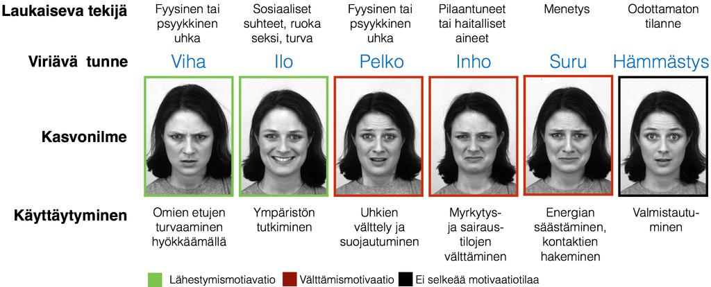 Kuva 1. Perustunnejärjestelmät ja niiden tehtävät. Kukin tunnejärjestelmä reagoi tietyntyyppisiin ympäristön uhkiin ja mahdollisuuksiin tuottamalla omanlaistaan, toimintaa tehostavaa käyttäytymistä.