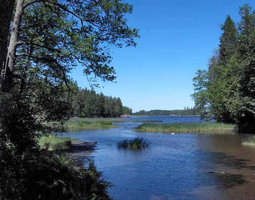 Vesistömaisemien hoito Helsingille omaleimaista maisemaa ovat merenranta-alueet.