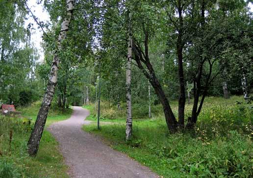 Liite 1 Taajamametsien hoitoluokkien kuvaukset Taajamametsät C i. Puistometsä C1.1 Puistometsä on puistomaisesti hoidettu pienialainen metsäalue.