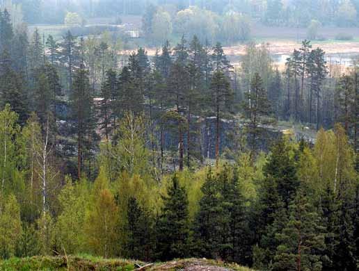 2.2 Metsätietojärjestelmä Helsingissä on käytössä Tforest-metsätietojärjestelmä. Käyttöliittymiä järjestelmään on tilaajalla rakennusvirastossa ja tuottajalla Starassa.