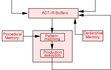 ACT-R (rakenne) Arkkitehtuuri koostuu moduuleista (työmuisti, sääntömuisti, ympäristöä havainnoivat osat etc.