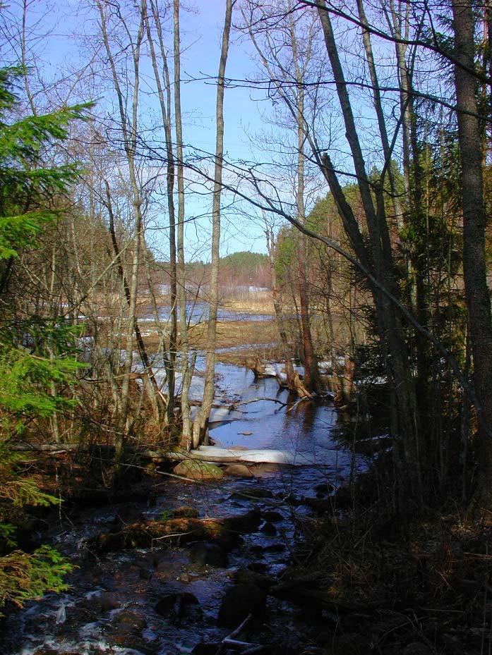 Kaivostenojan lehtokorpi, Veittijärven tervaleppälehto, Veittijärvenharju, Iilijärvi ja