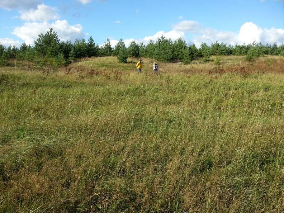 Veittijärvenharjun lähistö Veittijärvenharjun eteläpuolinen korpi on valtakunnallisesti arvokas Lähdelehtokorpea (CR), ruohokorpea (EN) ja