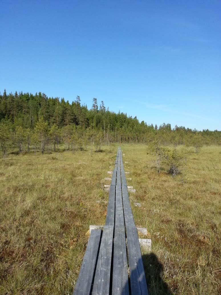 Heinisuo Valtakunnallisesti arvokas Natura-alue Kermikeidasta; neva (lyhytkorsineva), rämettä (tupasvillaräme) ja korpea (mustikkaja metsäkortekorpi); kuivatusojat tukittu.