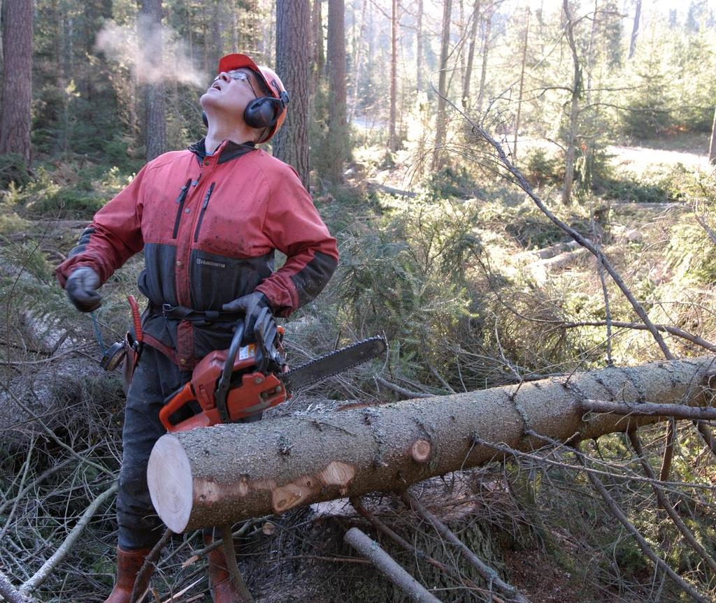 Uudistuva työeläke osa 1/5 Työssä ja eläkkeellä - osittainen vanhuuseläke Osittainen vanhuuseläke on jo konkretiaa ja yllätti suosiolla!