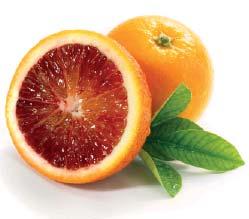 Rooibos-teet ROOIBOS APPELSIINI Appelsiinin raikas tuoksu ja virkistävä maku tulee aidosta appelsiinista. Kestosuosikki vuodesta toiseen, aromaattinen tuoksu ja maukas appelsiinin maku.