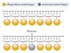 Mutageeni mutaatio Sukusolujen mutaatiot