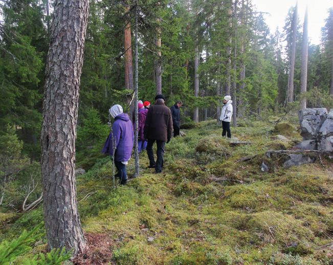 Jaana Ruoho Satakylät ry:n Spurtti- hankkeen paikalliskehittäjäkoulutuspäivä järjestettiin Kurkikorven tilalla maalikuussa 2014. Koulutuspäivän aikana pidettiin Green Care -luento.