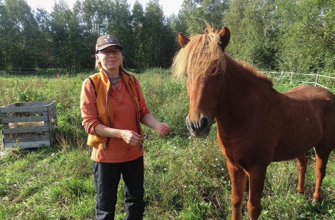 Psykologi Sissi Kähkönen Raumalta tarjoaa psykologin palveluja kokemuksellisesti hevosen kanssa.