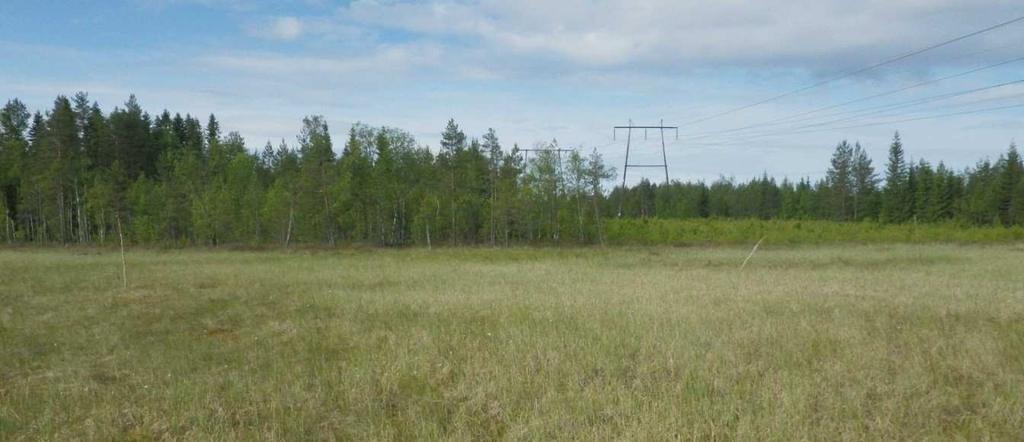 ) ja hakattua kallioaluetta sähkönsiirtoreitin vaikutusalueella (oik.). Jokivarsiin ja peltojen reunamille sijoittuu myös luonnon monimuotoisuuden kannalta arvokkaita avoimia joenvarsiniittyjä.