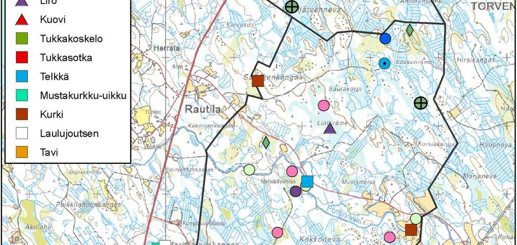 108. Huomionarvoisten lintulajien