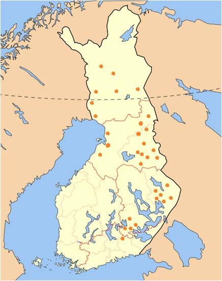 Raharääseikön tuloksista Kiinnostus valtavaa, yli 200 hankkeeseen ilmoittautunutta tilaa 32 tilalle perustettu koeviljelmä, 1200 runkoa, 6400 ymppäystä.