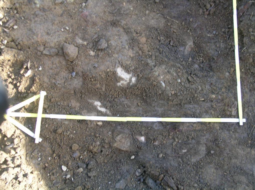 Kuva 15. Ympäristöään vaaleamman G-Y2- hiekan keskeltä alkaa erottua kiviä (rakenne G- KR1:n ylätaso). Pohjoisnuolen pituus 120 cm. Kuvaussuunta vertikaali. Kuvan yläreuna idässä.