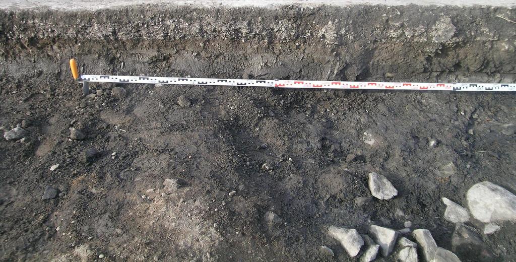 tutkittuun osaan, josta piirrettiin useita karttoja. I-Y1/I-Y2-savialueen koillis- ja lounaispäät oli tässä vaiheessa jo ehditty peittää suodatinkankaalla ja murskeella.