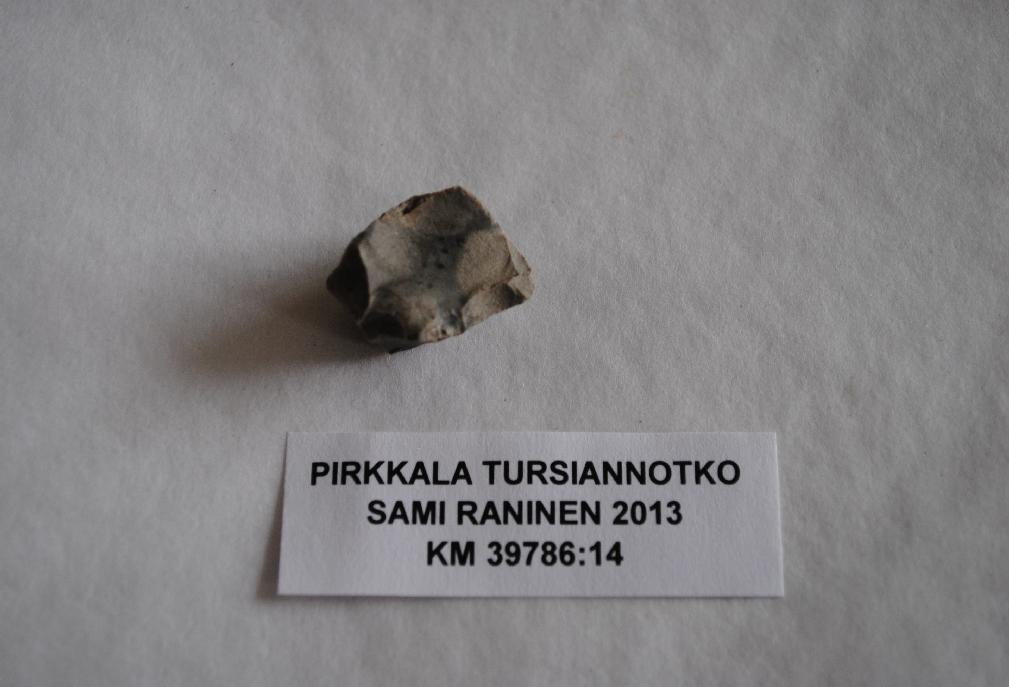 KM 39786 PIRKKALA PIRKKALANKYLÄ (BIRCALA) KM 39786 ja TURSIANNOTKO KM 39786:30 Kuva: Karita Kuusisto LUULÖYDÖT I-ALUE 0-TASO X 4956,05 4963.82 / Y 1016,06 1017,74 I-Y1/I-Y2 31.