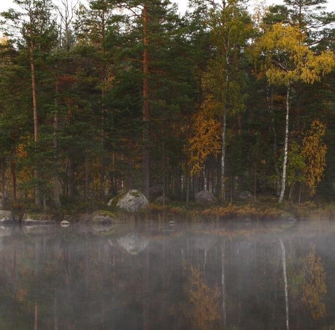 KANNAMME VASTUUTA kuluttajista ja kotimaisen elintarvikeketjun