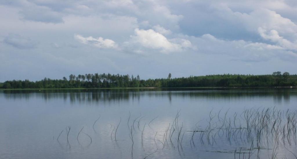 Vesienhoidon suunnittelu Suomessa Vesienhoidon tavoitteena on suojella, parantaa ja ennallistaa vesiä niin, että Pinta- ja pohjavesien tila ei heikkene ja Pinta- ja pohjavesien tila on