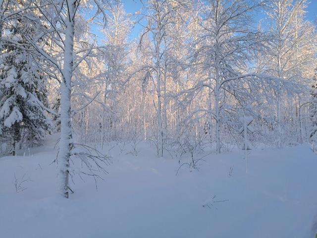 Kiitos