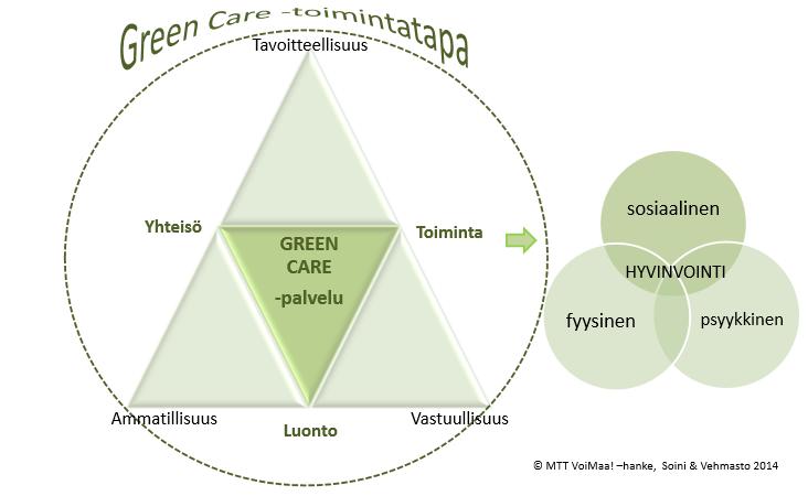 8 Kuvio 2. Green Care -toiminnan elementit ja ehdot. (MTT, THL & Lapin AMK 2014, 6.