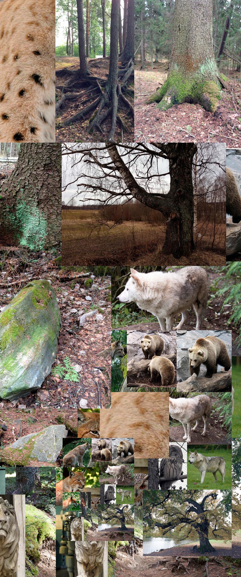 Ajatuksena kuitenkin oli, että eläin löytyisi idea, tunne, tyyli tai jokin muu vaikeasti selitet- Suomen metsästä. Kokosin työn tueksi paljon tävä asia. kuvia metsästä ja eri eläimistä.