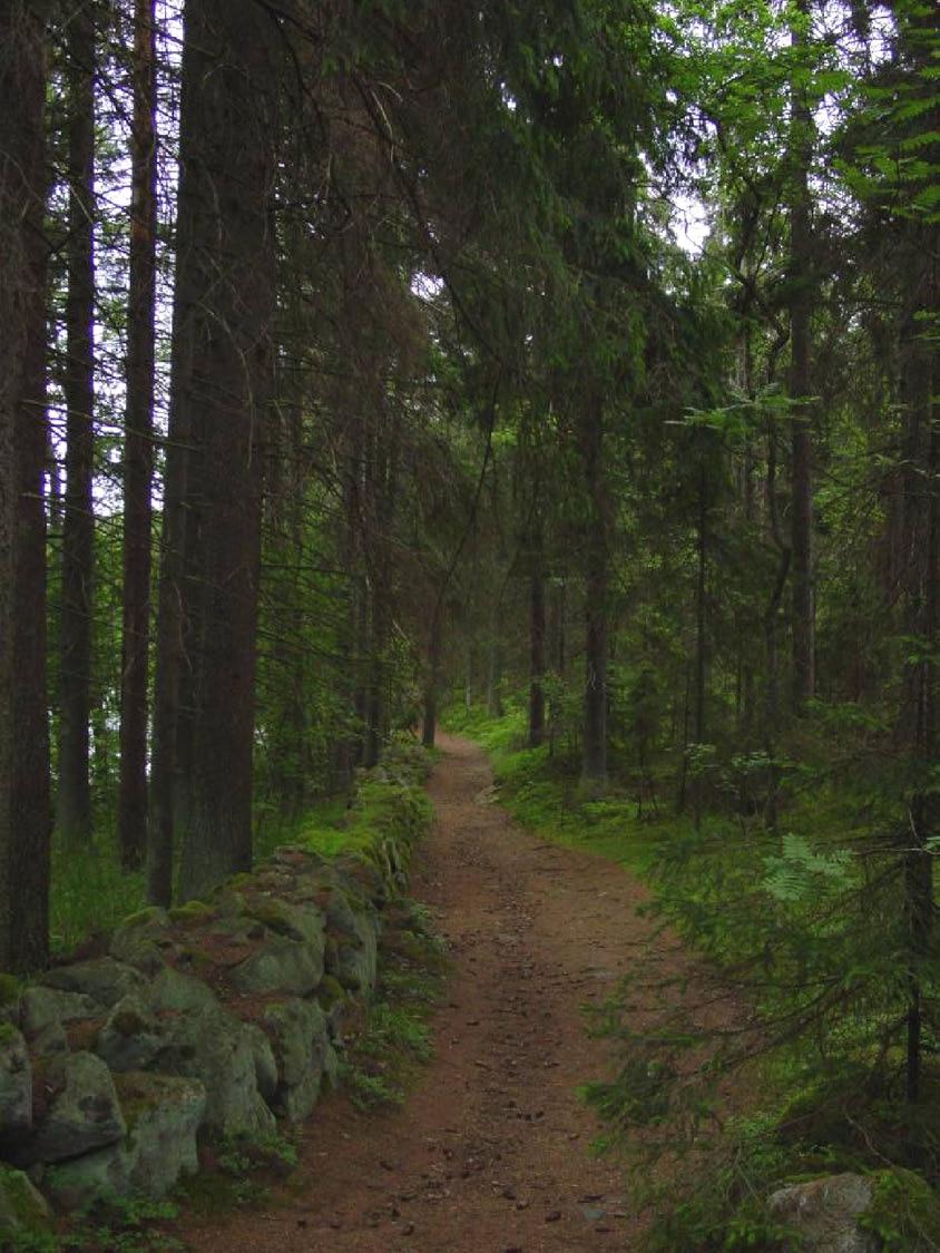 Näkymä haukiniemestä Tulikallion mereen putoavan jyrkänteen suuntaan