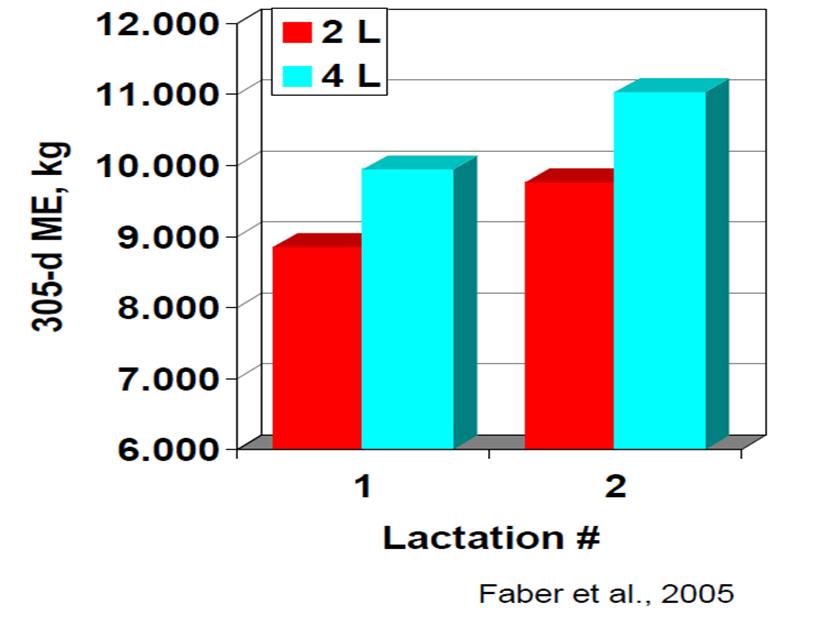 Toista mahdollisuutta ei tule Ternimaitoruokinnan pitkäaikaisvaikutukset (Faber ym. 2005).